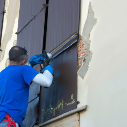 Crépis : optez pour une façade rustique et chaleureuse Challans